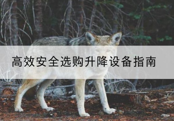 利川升降货梯厂家推荐-*安全选购升降设备指南