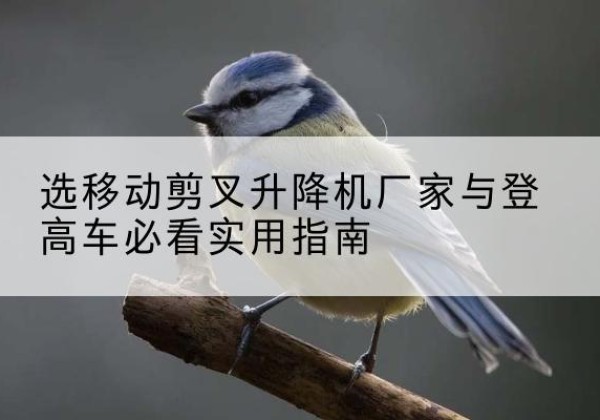 利川电动升降机厂家-选移动剪叉升降机厂家与登高车必看实用指南